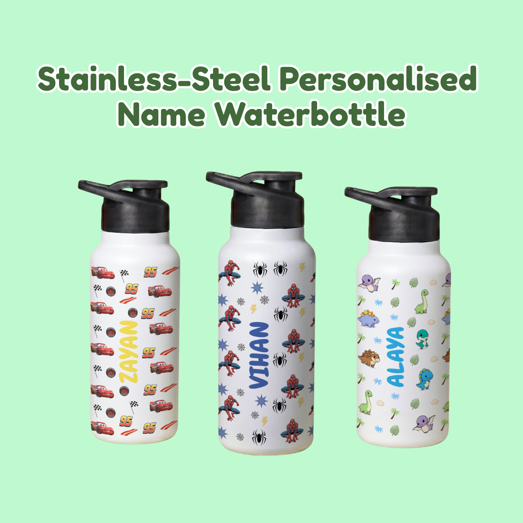 Stainless Steel Water Bottle